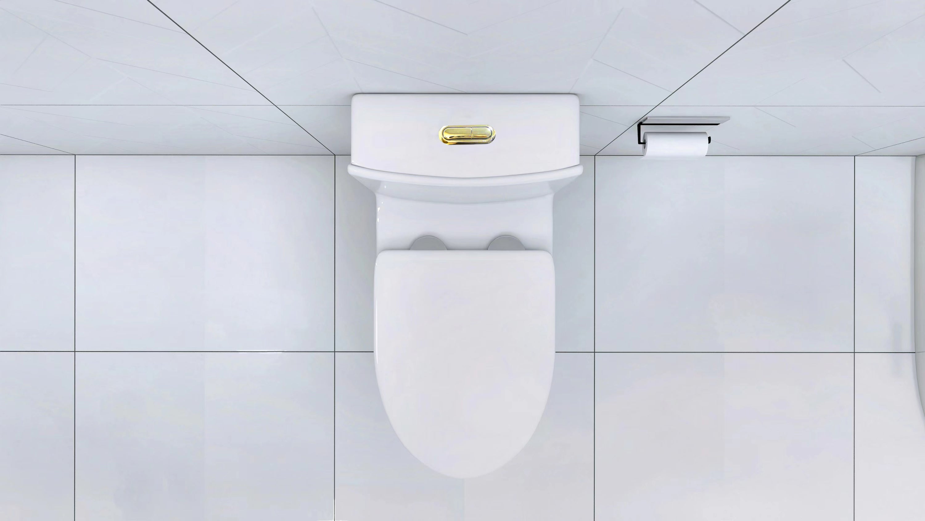 Elongated One Piece Toilet White