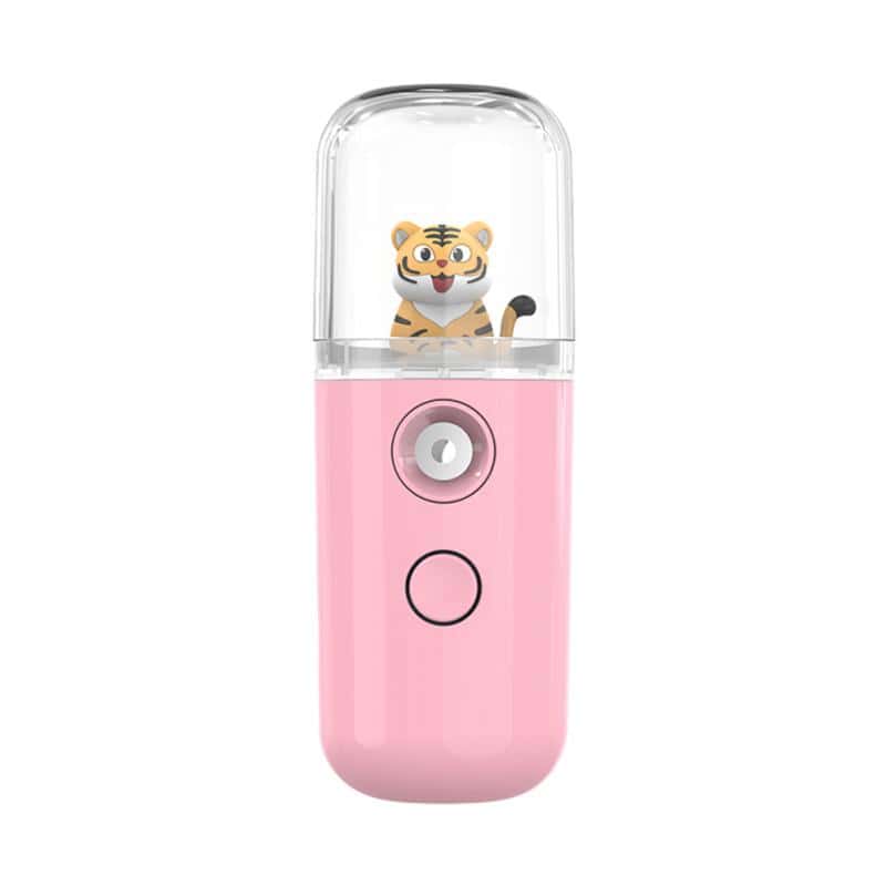 Mini Nano Facial Sprayer Face Steamer 30ml