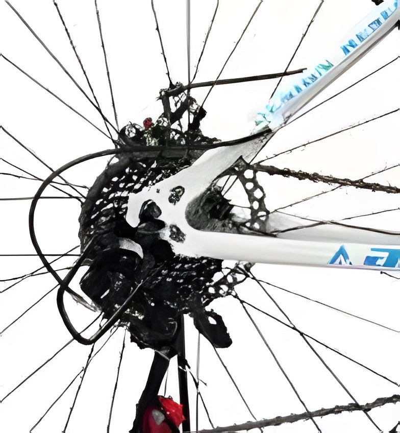 Blue Color, 21 Speeds, High Carbon Steel, Detachable, Adjustable Seat, Chain Drive, 150kg Capacity, Dual Disc Brakes, Rigid Frame, Oil Spring Fork, Standard Type, Ordinary Pedals