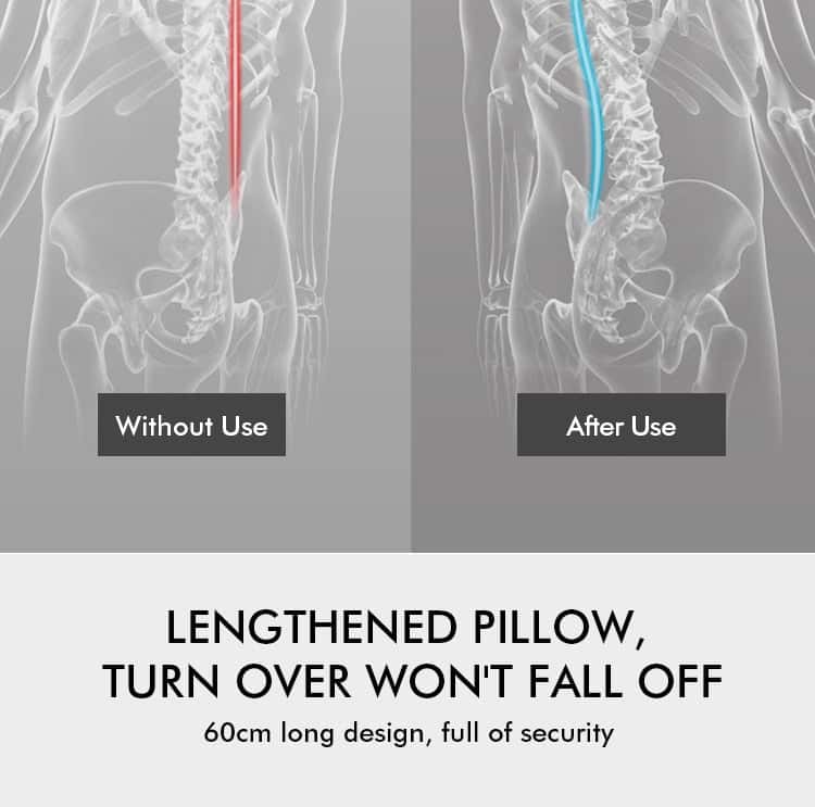 Back & Lumbar Support Pillow