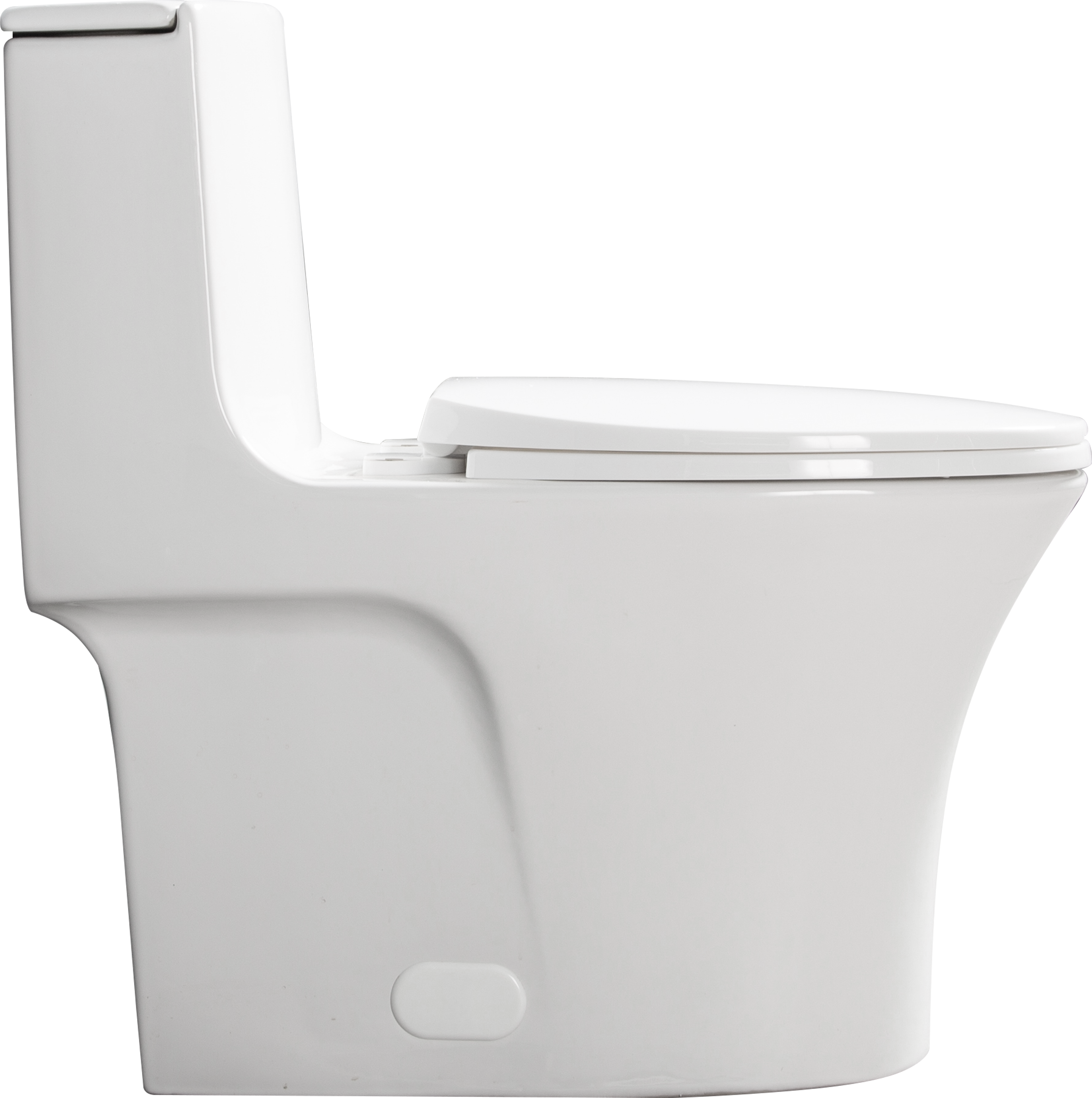 1.1/1.60 GPF Dual-Flush One Piece Toilet, Water-Saving Elongated Comfort Height Floor Mounted, Soft Closing Seat, 1000 Gram Map Flushing Score Toilet, Gloss White 23T02-GW