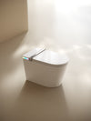 Multifunctional flat square smart toilet with automatic flush with remote control/foot sensor/night light