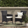 Clementine Outdoor Multibrown PE Wicker Dining Chairs (Set of 2)