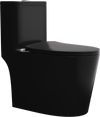 Matte Black One Piece Dual Flush Elongated Toilet