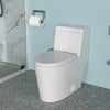 Ceramic One Piece Toilet,Single Flush with Soft Clsoing Seat