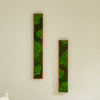 Rectangular Mixed Moss Wall Art, only the Medium pc