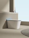 Multifunctional flat square smart toilet with automatic flush with remote control/foot sensor/night light