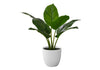 Artificial Plant, 17" Tall, Aureum, Indoor, Faux, Fake, Table, Greenery, Potted, Real Touch, Decorative, Green Leaves, White Pot