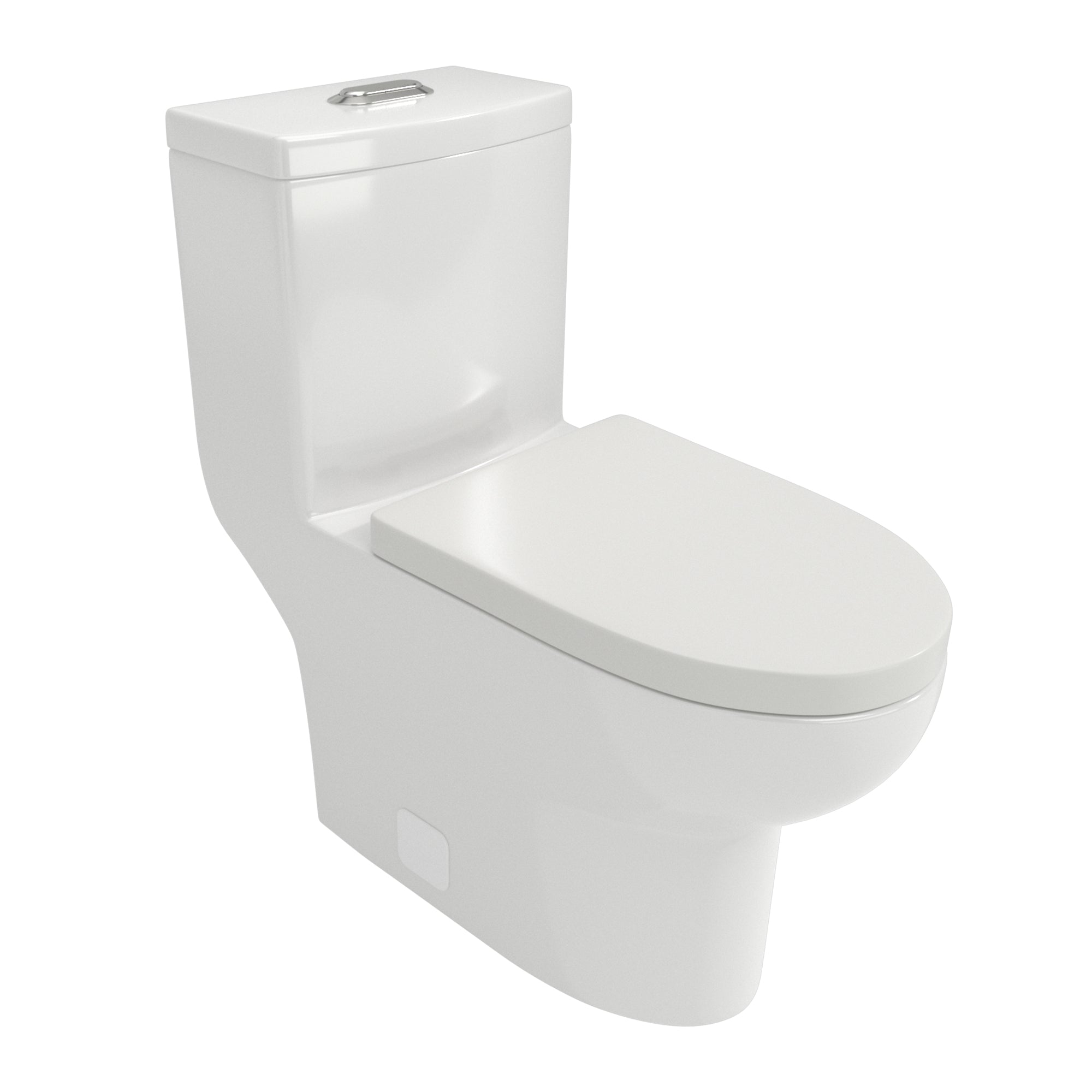 Ceramic One Piece Toilet,Dual Flush with Soft Clsoing Seat