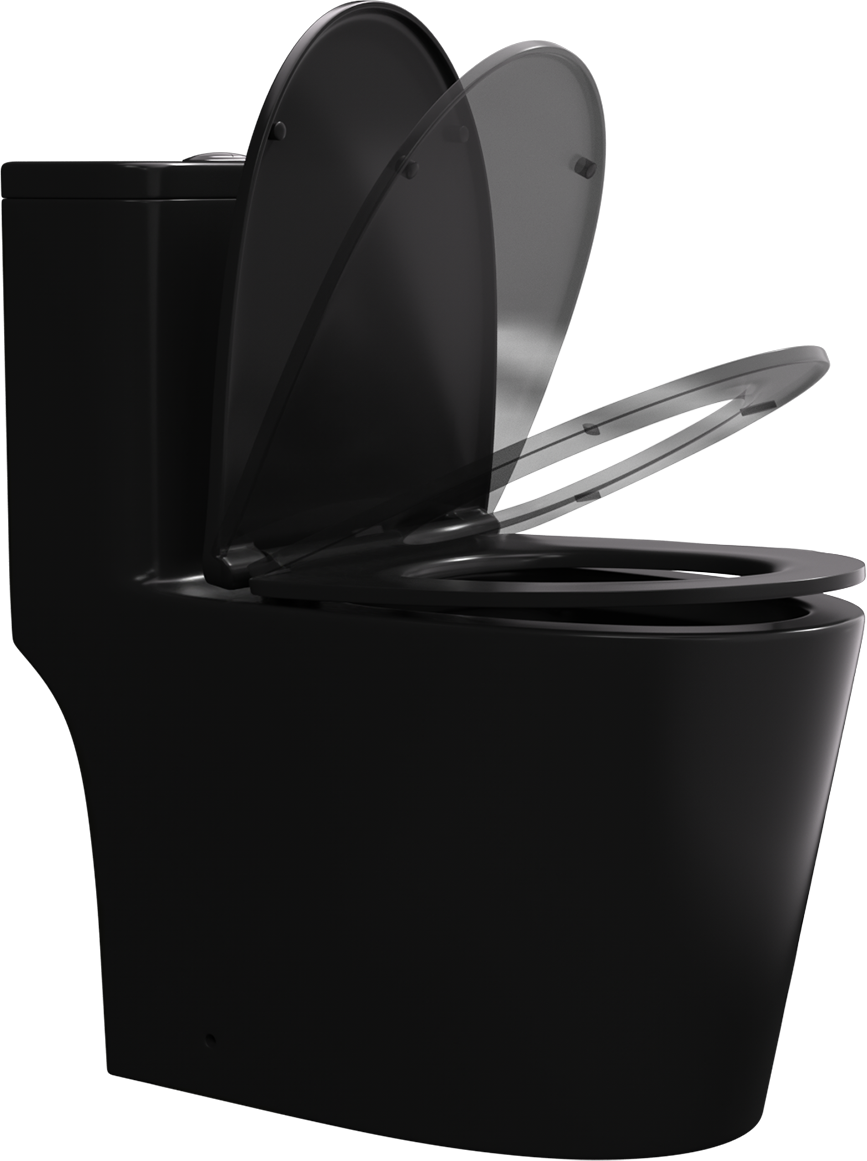 Matte Black One Piece Dual Flush Elongated Toilet