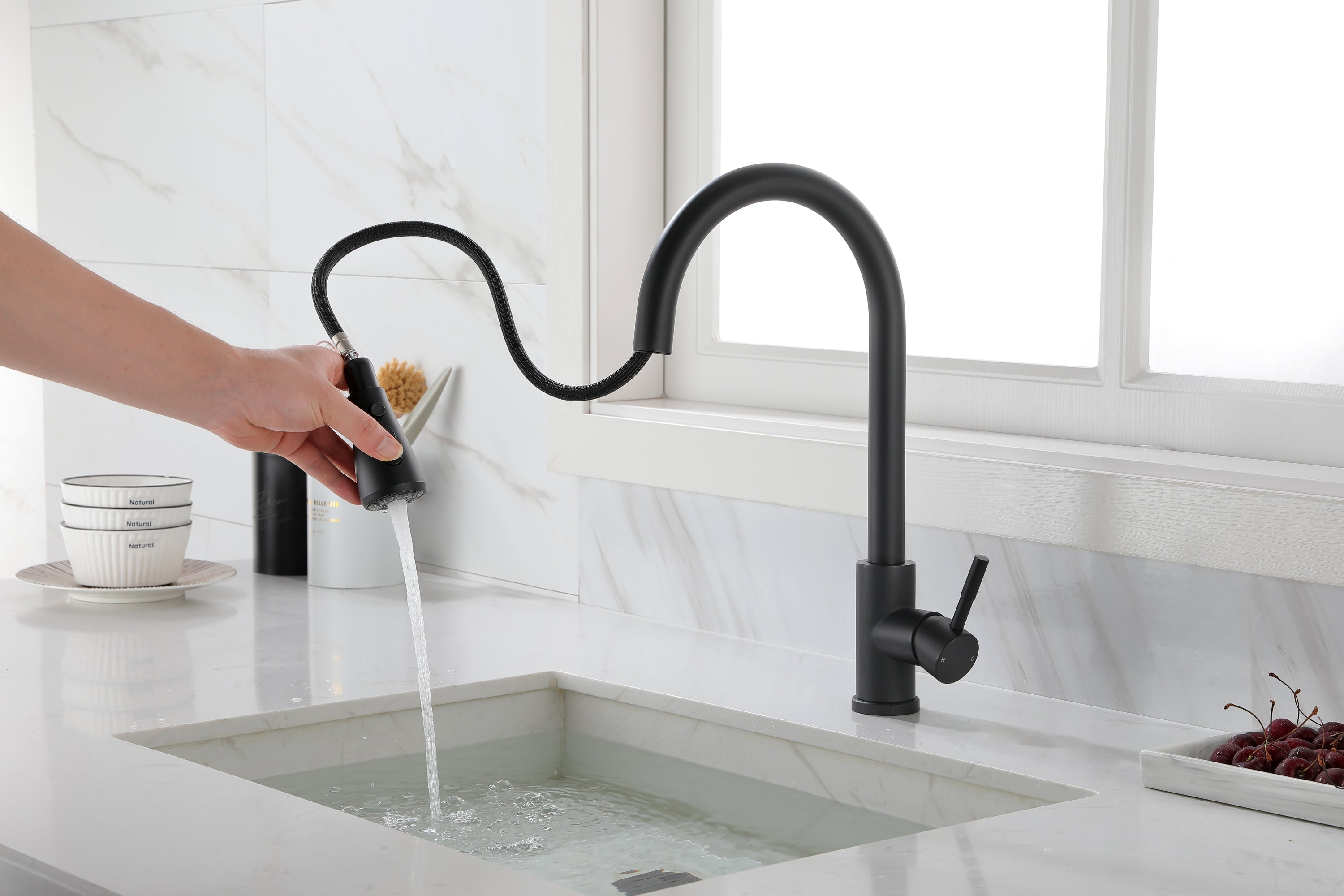 Kitchen Faucet with Pull Out Spraye