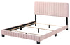 Stylish Contemporary Queen Bed In Pink