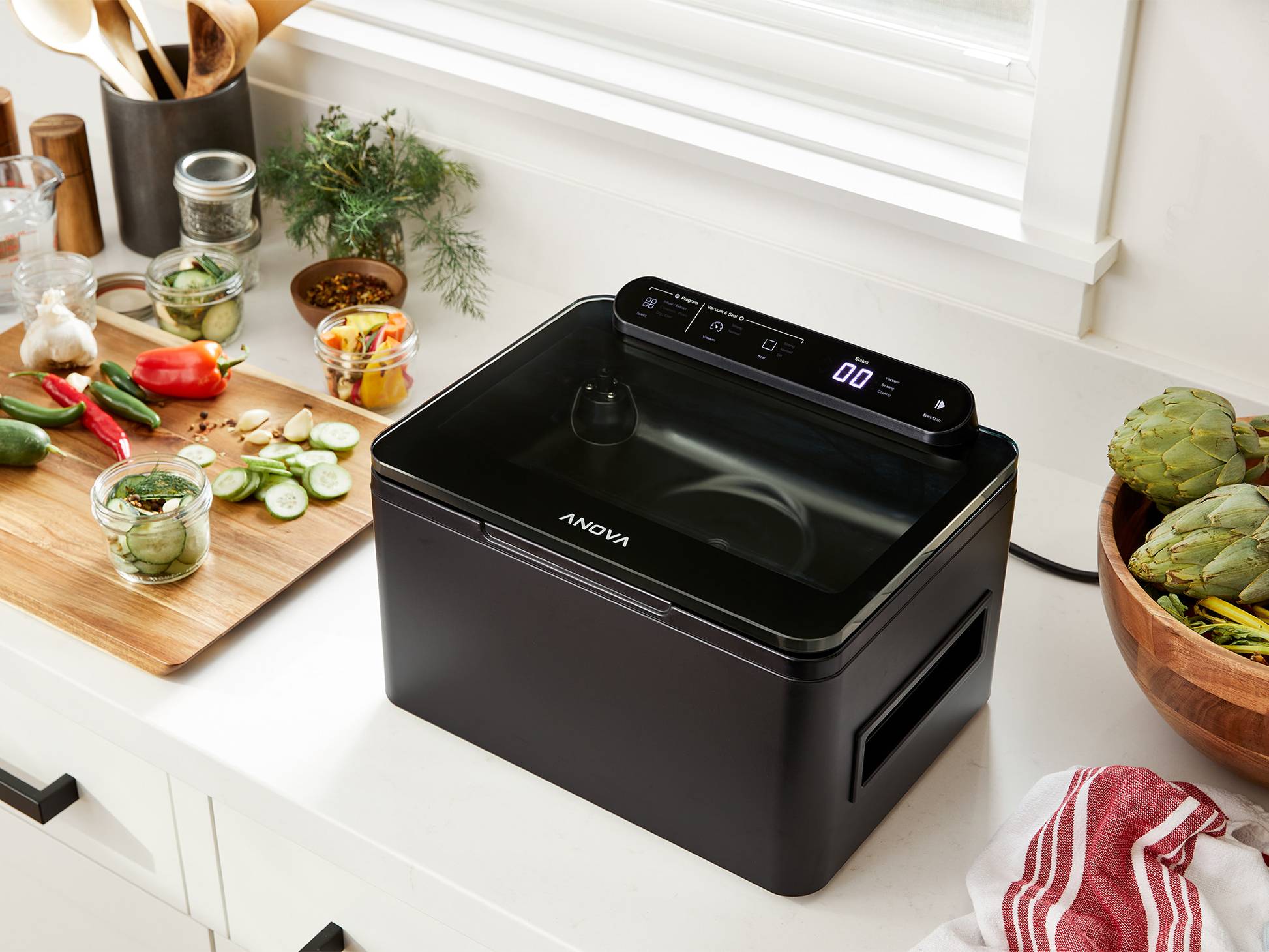 Anova Precision Chamber Vacuum Sealer, 120V US Plug