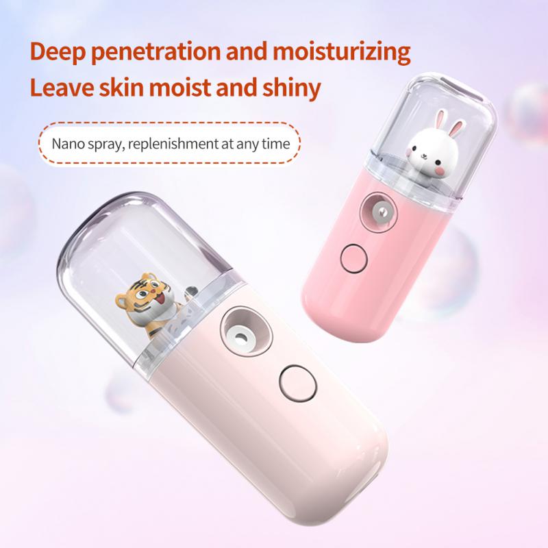 Mini Nano Facial Sprayer Face Steamer 30ml