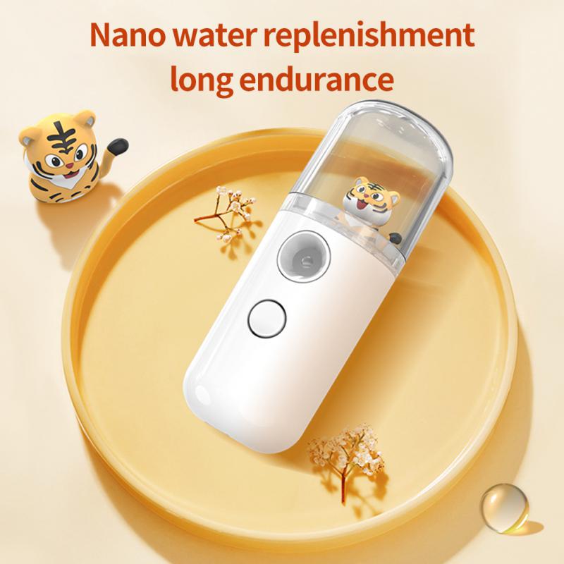 Mini Nano Facial Sprayer Face Steamer 30ml