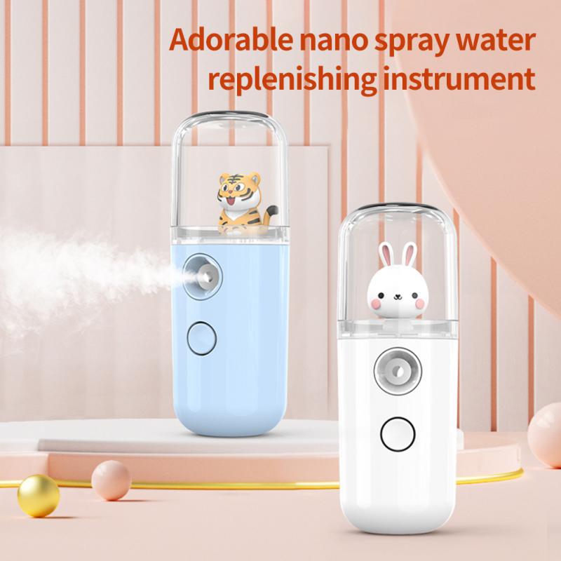 Mini Nano Facial Sprayer Face Steamer 30ml