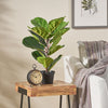 65CM ARTIFICIAL FIDDLE LEAF FIG TREE