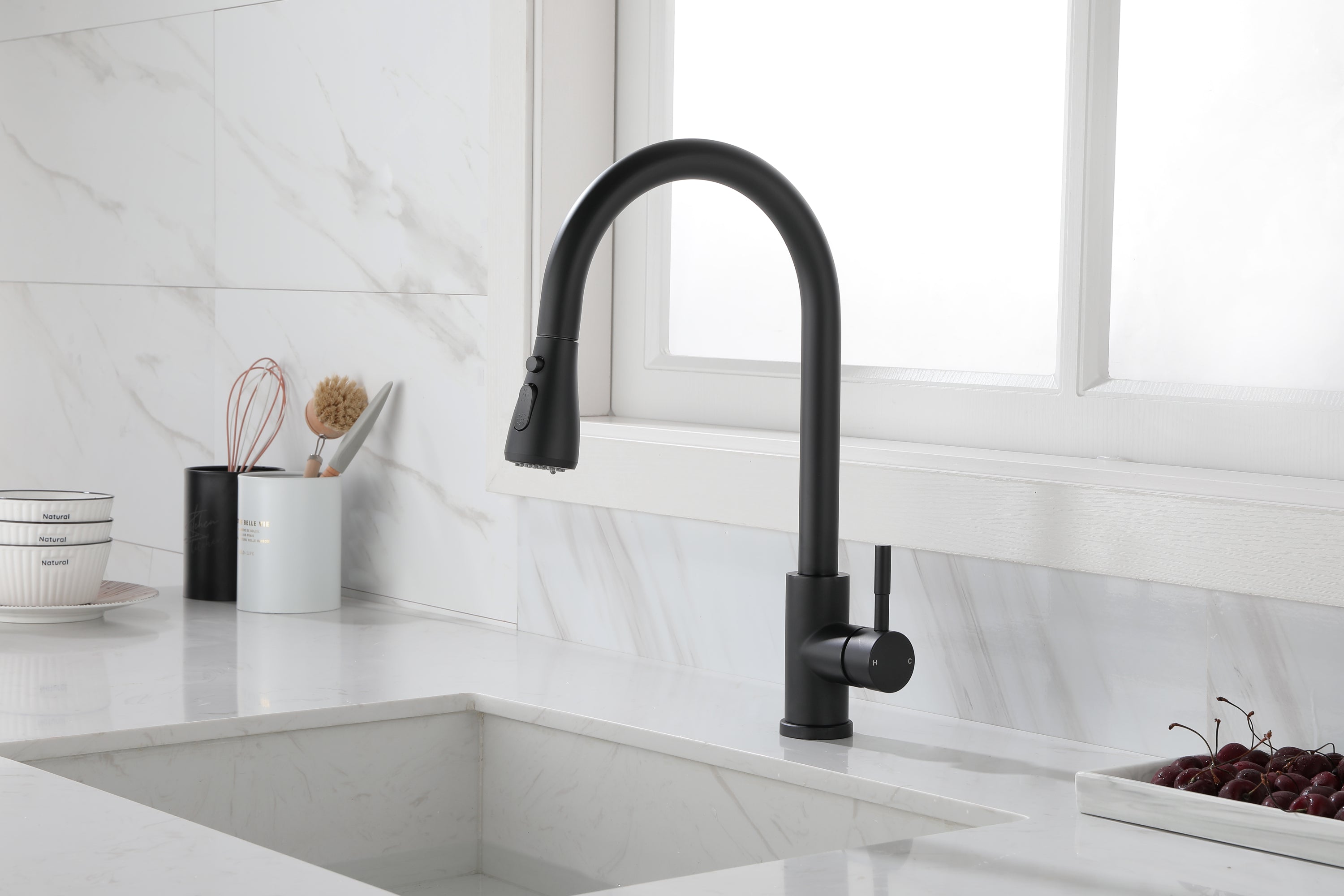 Kitchen Faucet with Pull Out Spraye