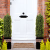 Hot Sell High quality decoration topiary plants Artificial Green taper eucalyptus green plants 2pcs