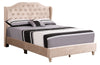 Elegant Transitional Queen Upholstered Bed