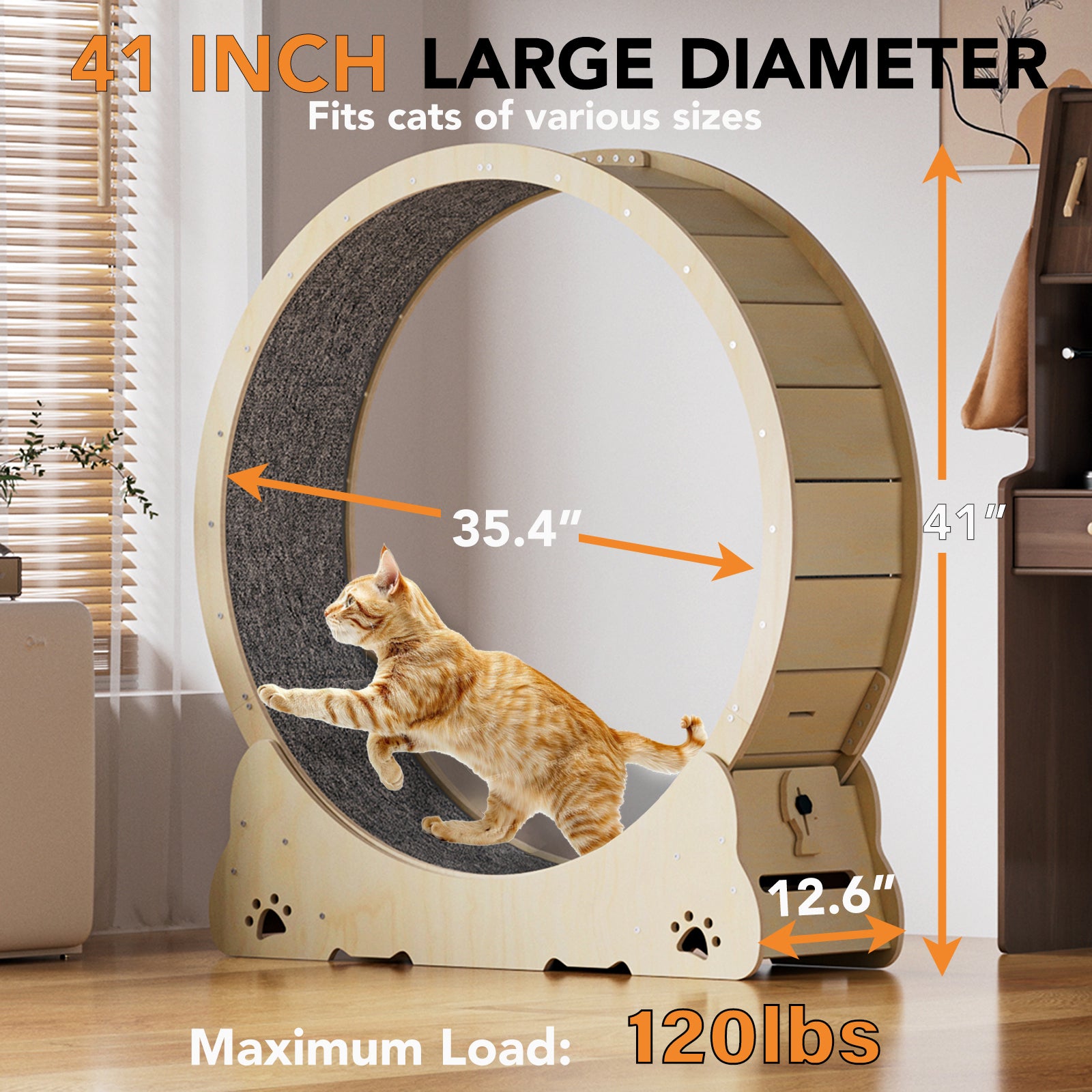 Large Cat Exercise Wheel 40 Inch, Solid Wood Cat Wheel Exerciser for Indoor Cats, Safety Cat Treadmill with Lock & Minimized Gap Design