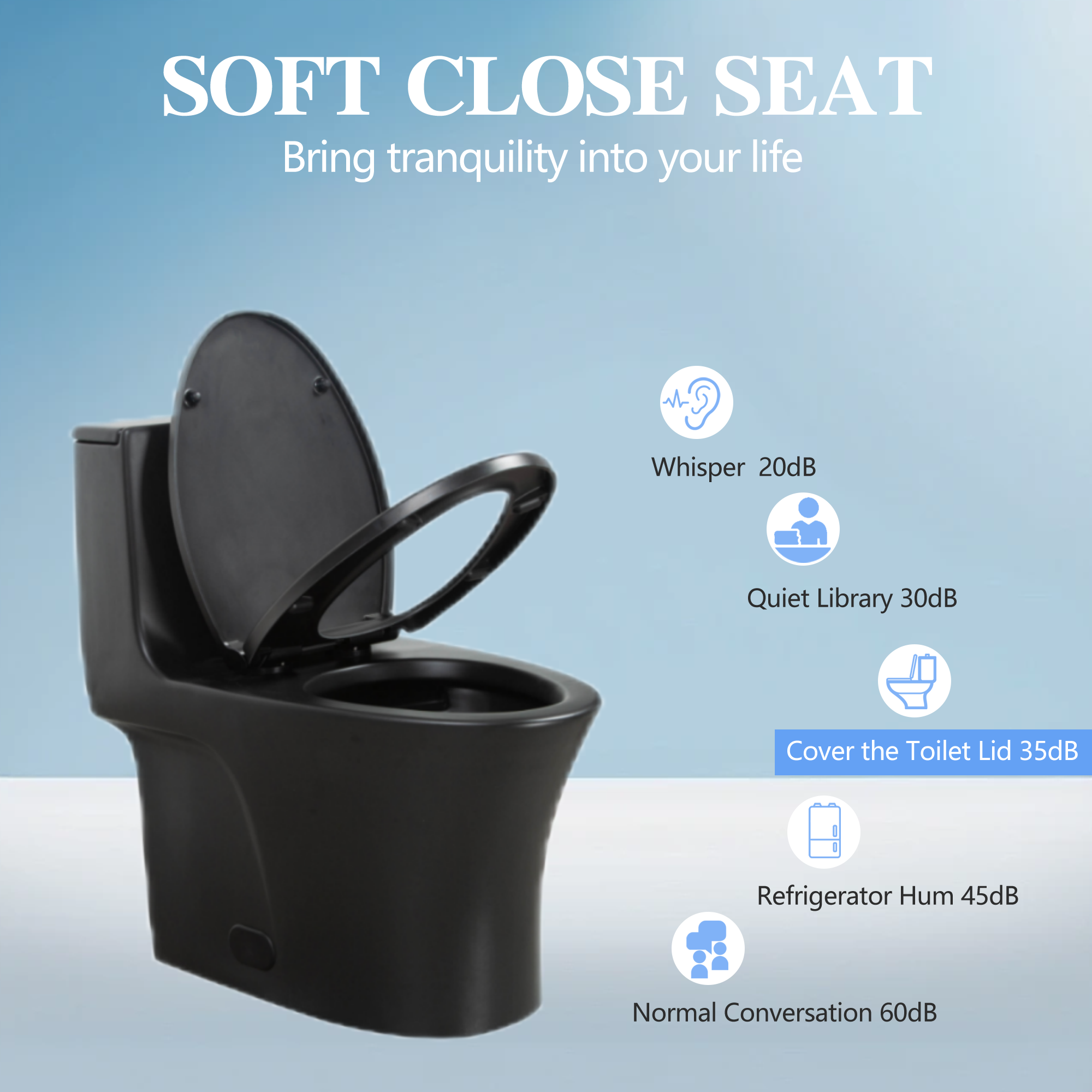 1.1/1.60 GPF Dual-Flush One Piece Toilet, Water-Saving Elongated Comfort Height Floor Mounted, Soft Closing Seat, 1000 Gram Map Flushing Score Toilet, Matte Black 23T02-MB