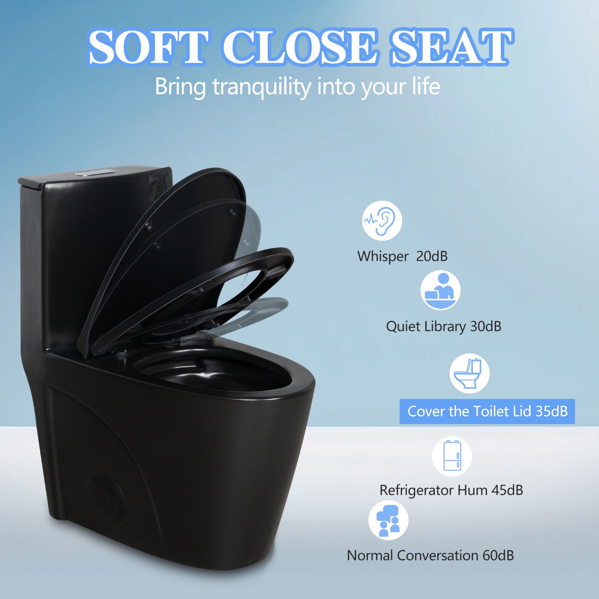 1.1/1.60 GPF Dual-Flush One Piece Toilet, Water-Saving Elongated Comfort Height Floor Mounted, Soft Close Seat, 1000 Gram Map Flushing Score Toilet, Matte Black 23T01-MB-1