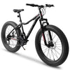 A2605D 26 Inch Fat Tires Mountain Bike, 4'' Wide Wheel, 21-Speed Disc Brakes, Mens Womens Trail Beach Snow Commuter City Mountain Bike,High Carbon Steel Frame Front Fork Bicycles