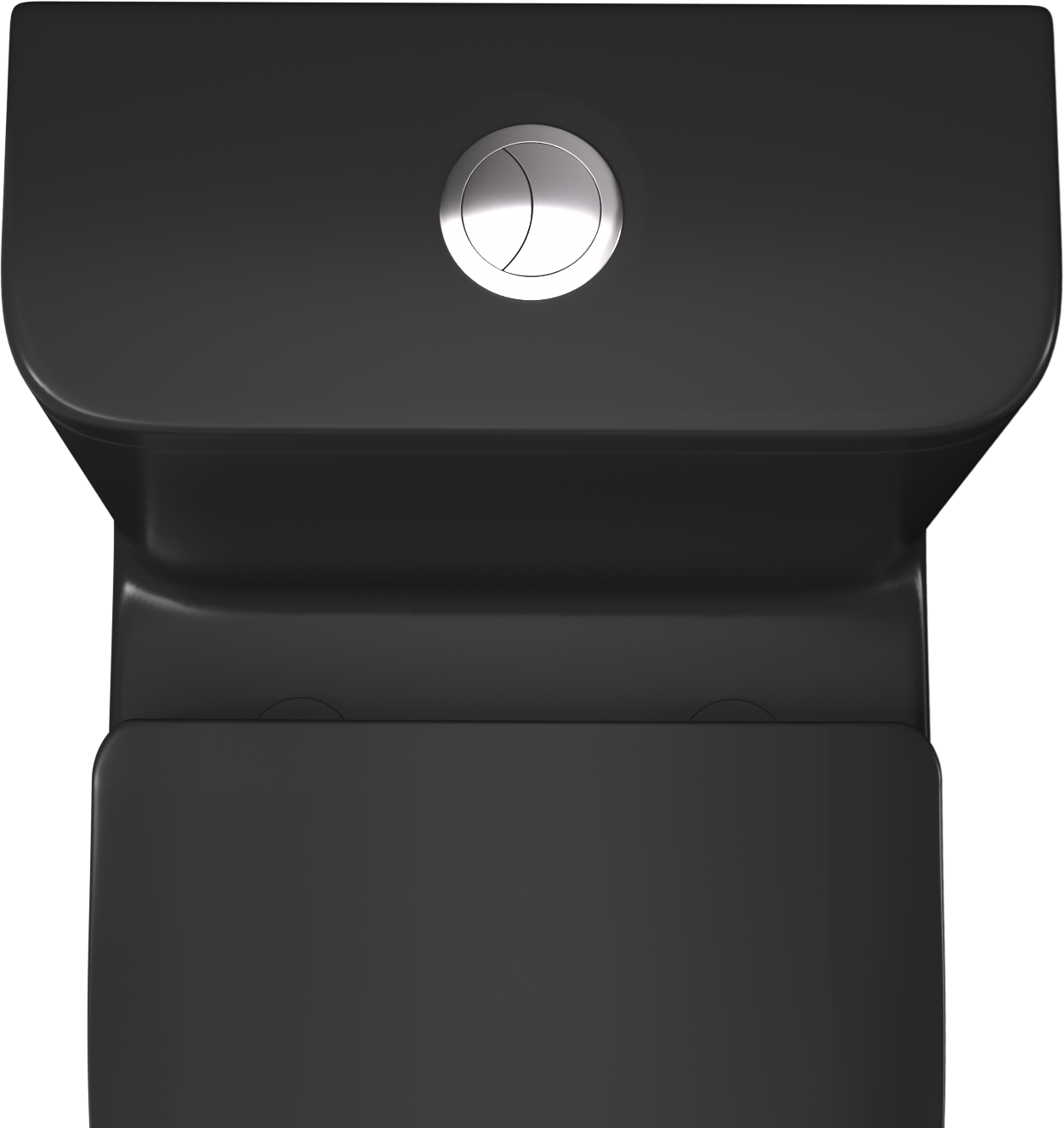 Matte Black One Piece Dual Flush Elongated Toilet