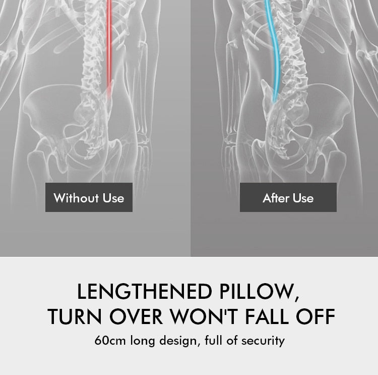 Back & Lumbar Support Pillow