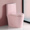 1.1/1.60 GPF Dual-Flush One Piece Toilet, Water-Saving Elongated Comfort Height Floor Mounted, Soft Close 1000 Gram Map Flushing Score Toilet, Rose 23T01-RS