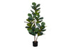 Artificial Plant, 49" Tall, Fiddle Tree, Indoor, Faux, Fake, Floor, Greenery, Potted, Real Touch, Decorative, Green Leaves, Black Pot