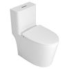 One piece Toilet with high quality Accessories