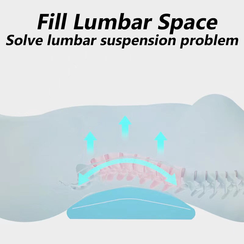 Back & Lumbar Support Pillow