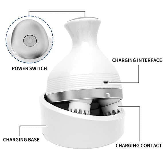Scalp Massager For Hair Growth_Head Massager_Scalp Scrubber_Efforest Image
